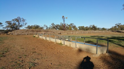 Water Trough