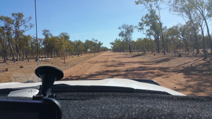 The road from Mt Surprise to Chillagoe