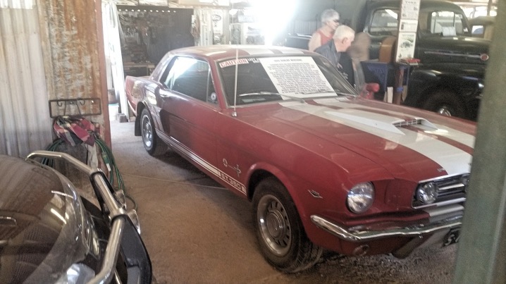 Tom Prior's collection at Chillagoe