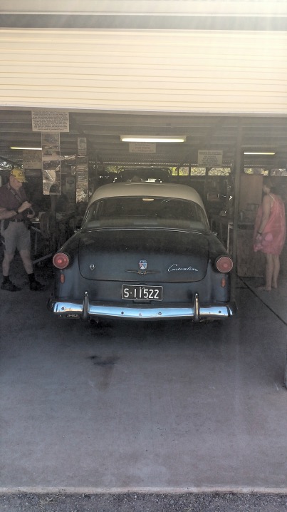 Tom Prior's collection at Chillagoe