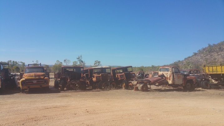 Tom Prior's collection at Chillagoe