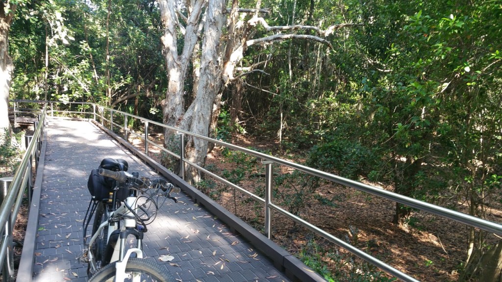 One of the many bike paths around here. This is part of the Deadman Gully boardwalk/ride.
