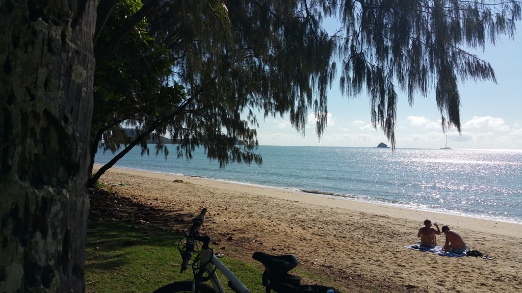 Palm Cove
