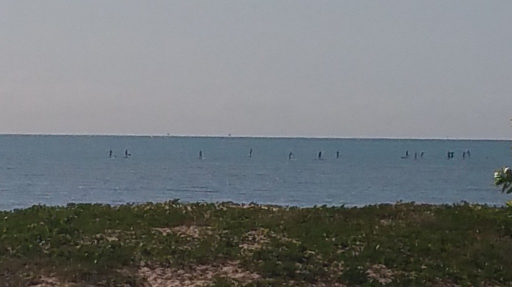 Lots of paddle boarders out on the water.