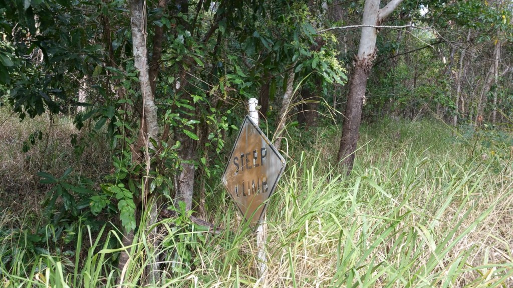 Fair warning, it was steep too on the bike.