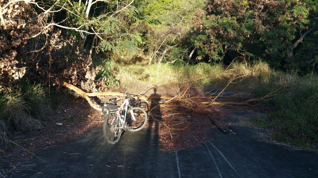 And the end of the driveway. 