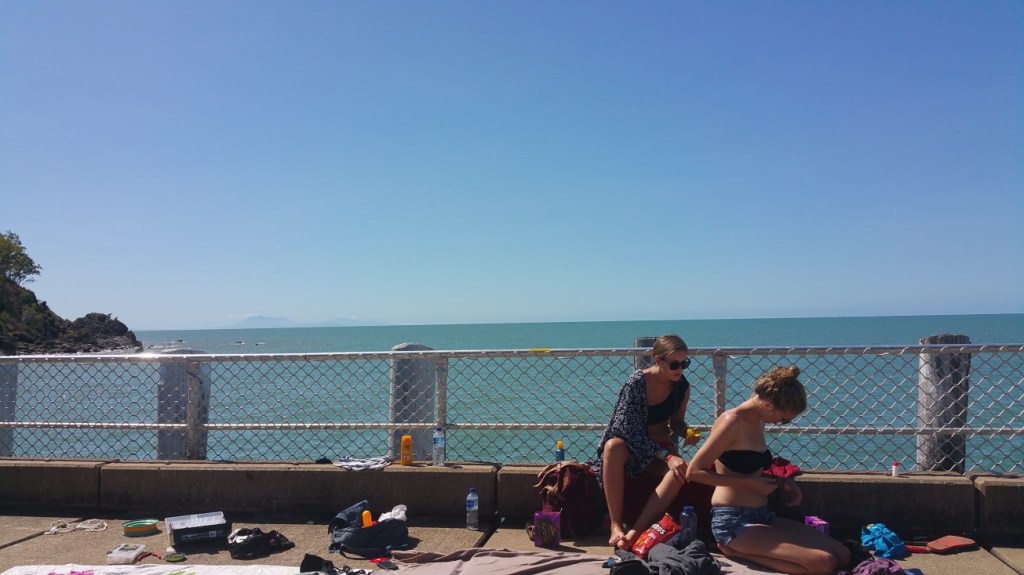 For some unknown reason this log were sun baking on the pier. The beach would have been nicer.