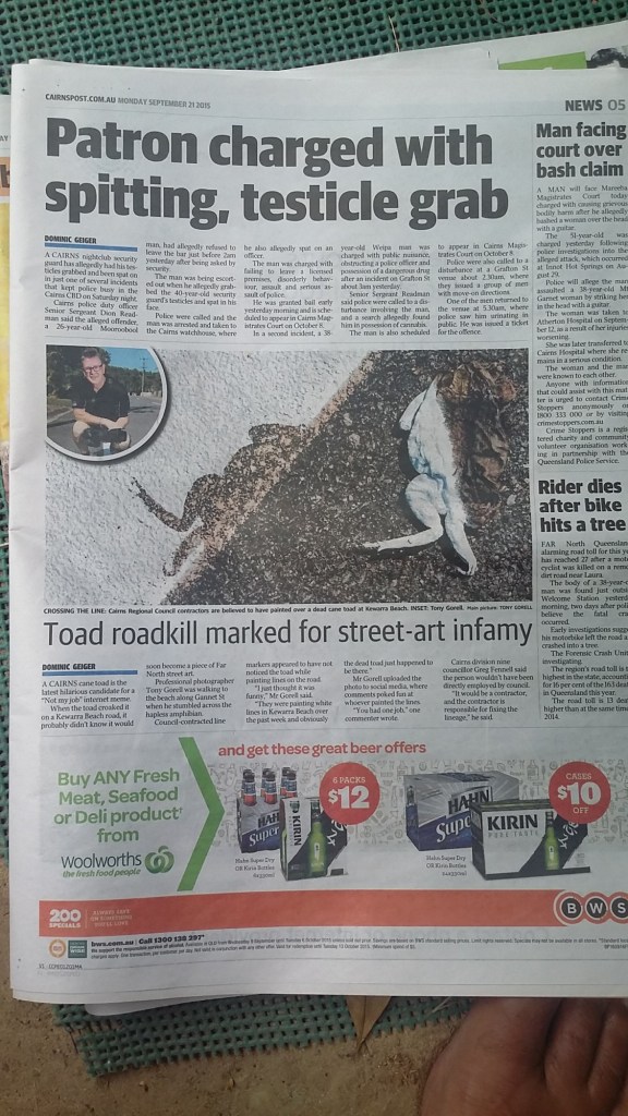 And from anther day in Cairns....apparently the line marking machine painted over a dead cane toad. The article talked about the frog had croaked........