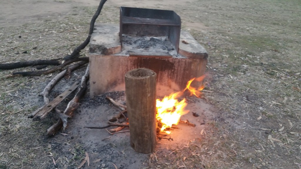 Just one log is all we need!