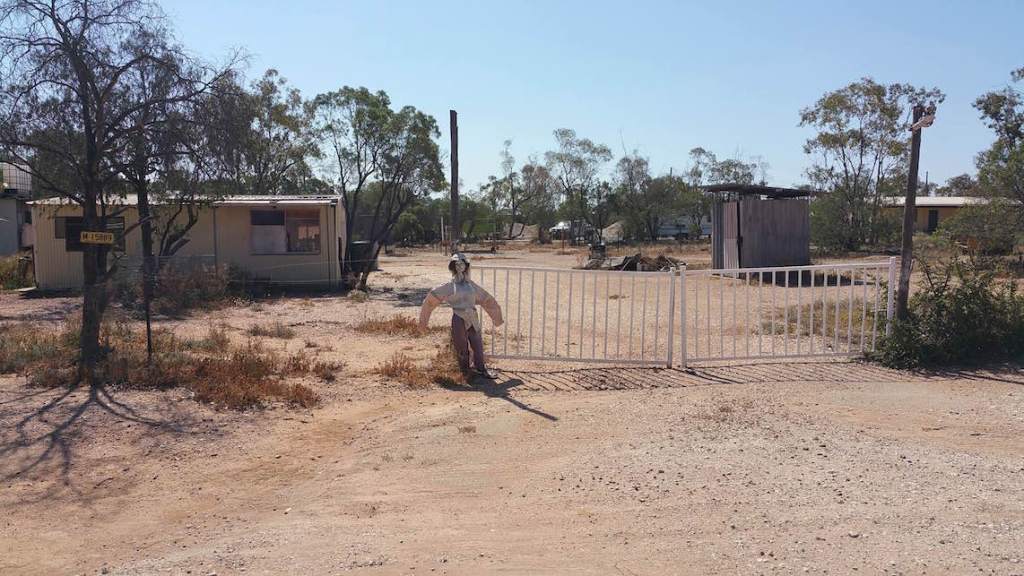 If you have seen any of the local ladies around here - here is one of the better ones.....